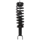 Purchase Top-Quality PRT - 815013 - Suspension Strut And Coil Spring Assembly pa3