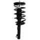 Purchase Top-Quality Front Complete Strut Assembly by PRT - 815165 pa2