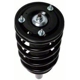 Purchase Top-Quality Front Complete Strut Assembly by PRT - 815165 pa3