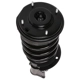 Purchase Top-Quality PRT - 815187 - Suspension Strut And Coil Spring Assembly pa4