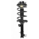 Purchase Top-Quality Front Complete Strut Assembly by PRT - 815211 pa1