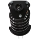 Purchase Top-Quality PRT - 815299 - Suspension Strut And Coil Spring Assembly pa2