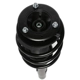 Purchase Top-Quality PRT - 815906 - Suspension Strut And Coil Spring Assembly pa1