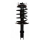 Purchase Top-Quality Front Complete Strut Assembly by PRT - 815907 pa1