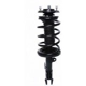 Purchase Top-Quality Front Complete Strut Assembly by PRT - 815918 pa1