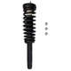Purchase Top-Quality PRT - 815937 - Suspension Strut And Coil Spring Assembly pa1