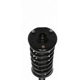 Purchase Top-Quality Front Complete Strut Assembly by PRT - 815943 pa3