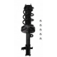 Purchase Top-Quality Front Complete Strut Assembly by PRT - 815982 pa1