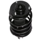 Purchase Top-Quality PRT - 816053 - Suspension Strut and Coil Spring Assembly pa1