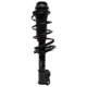 Purchase Top-Quality PRT - 816190 - Suspension Strut and Coil Spring Assembly pa1
