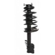 Purchase Top-Quality Front Complete Strut Assembly by PRT - 816333 pa2