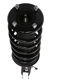 Purchase Top-Quality PRT - 816388 - Suspension Strut and Coil Spring Assembly pa3