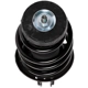 Purchase Top-Quality PRT - 816546 - Front Complete Strut Assembly pa3