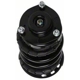 Purchase Top-Quality Front Complete Strut Assembly by PRT - 816635 pa3