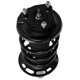 Purchase Top-Quality PRT - 816650 - Suspension Strut and Coil Spring Assembly pa3