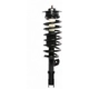 Purchase Top-Quality Front Complete Strut Assembly by PRT - 816652 pa1