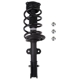 Purchase Top-Quality PRT - 816681 - Suspension Strut and Coil Spring Assembly pa1