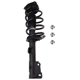 Purchase Top-Quality PRT - 816681 - Suspension Strut and Coil Spring Assembly pa2