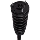 Purchase Top-Quality PRT - 816773 - Suspension Strut and Coil Spring Assembly pa4