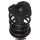 Purchase Top-Quality PRT - 816947 - Suspension Strut and Coil Spring Assembly pa3