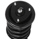 Purchase Top-Quality PRT - 816950 - Suspension Strut and Coil Spring Assembly pa3