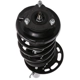 Purchase Top-Quality PRT - 816952 - Suspension Strut and Coil Spring Assembly pa3