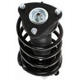 Purchase Top-Quality Front Complete Strut Assembly by PRT - 817034 pa3