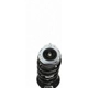 Purchase Top-Quality Front Complete Strut Assembly by PRT - 817103 pa3