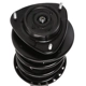 Purchase Top-Quality PRT - 817112 - Suspension Strut and Coil Spring Assembly pa3