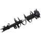 Purchase Top-Quality PRT - 817142 - Front Driver Side Strut Assembly pa1