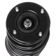 Purchase Top-Quality PRT - 817154 - Suspension Strut and Coil Spring Assembly pa3