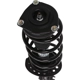Purchase Top-Quality Front Complete Strut Assembly by PRT - 817156 pa1