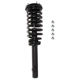 Purchase Top-Quality PRT - 817163 - Suspension Strut and Coil Spring Assembly pa2