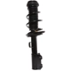 Purchase Top-Quality PRT - 817177 - Suspension Strut and Coil Spring Assembly pa2