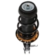 Purchase Top-Quality PRT - 817177 - Suspension Strut and Coil Spring Assembly pa3