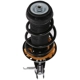 Purchase Top-Quality PRT - 817178 - Suspension Strut and Coil Spring Assembly pa3
