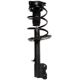 Purchase Top-Quality PRT - 817250 - Front Driver Side Strut Assembly pa1