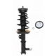 Purchase Top-Quality Front Complete Strut Assembly by PRT - 818031 pa1