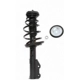 Purchase Top-Quality Front Complete Strut Assembly by PRT - 818031 pa2