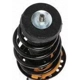 Purchase Top-Quality Front Complete Strut Assembly by PRT - 818031 pa3