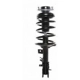 Purchase Top-Quality Front Complete Strut Assembly by PRT - 818121 pa1