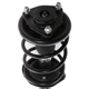 Purchase Top-Quality PRT - 818191 - Suspension Strut and Coil Spring Assembly pa3