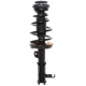 Purchase Top-Quality PRT - 818197 - Suspension Strut and Coil Spring Assembly pa1