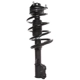 Purchase Top-Quality PRT - 818203 - Suspension Strut and Coil Spring Assembly pa2