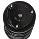 Purchase Top-Quality PRT - 818205 - Suspension Strut and Coil Spring Assembly pa3