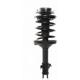 Purchase Top-Quality Front Complete Strut Assembly by PRT - 818216 pa1