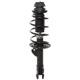 Purchase Top-Quality PRT - 818272 - Suspension Strut and Coil Spring Assembly pa1