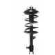 Purchase Top-Quality Front Complete Strut Assembly by PRT - 818290 pa1