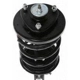 Purchase Top-Quality Front Complete Strut Assembly by PRT - 818290 pa3