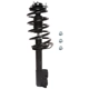 Purchase Top-Quality PRT - 818303 - Suspension Strut and Coil Spring Assembly pa2